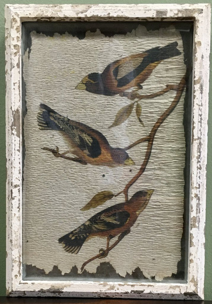 Birds on Branch w/ Rustic Crackle Frame