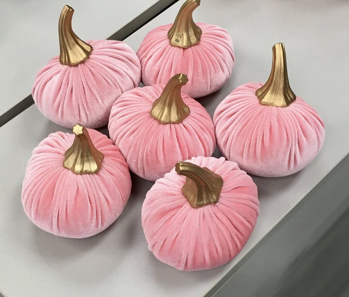 Set of 6 Velvet Pumpkin Gld Stem